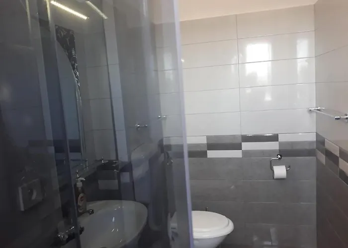 ゲストハウス Pensiunea Smarald エフォリエ・ノルド