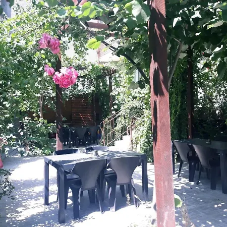 게스트하우스 Pensiunea Smarald